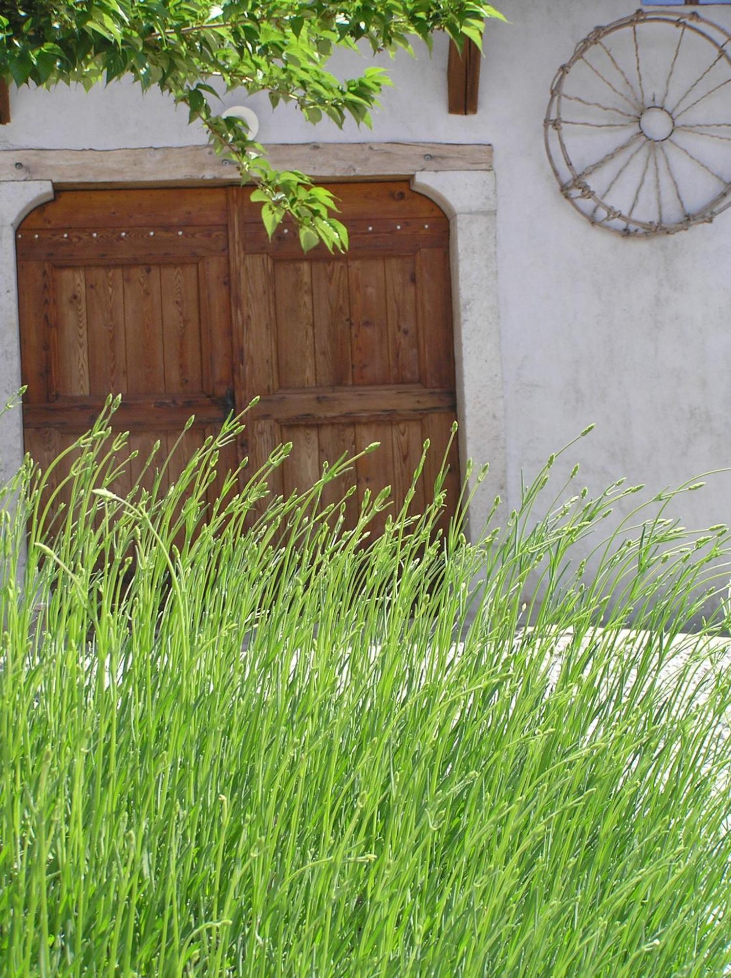Pliskovica Youth Hostel المظهر الخارجي الصورة